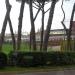 Viale Filippo Strozzi - Strada Statale 67 (it) in Florence city