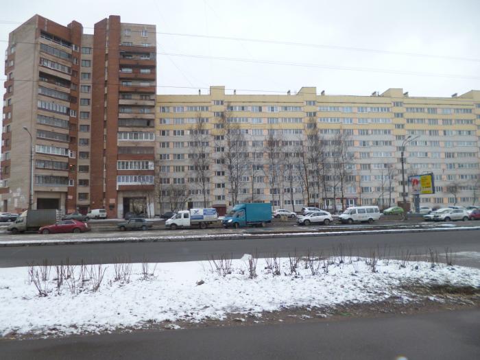 Правдинская поликлиника расписание врачей педиатров