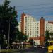 Dzika Street in Warsaw city