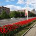 ул. Гагарина в городе Калуга