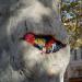 cours Belsunce (fr) in Marseille city