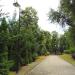 Aleja do Domu Pogrzebowego (pl) in Warsaw city