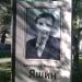 ул. Яшина в городе Вологда