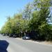 Kolejowa Street in Warsaw city