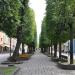 Laisvės alėja yra Kaunas mieste