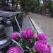 Alejka 9/10 (pl) in Warsaw city