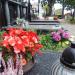 Aleja Pod Temlerem (pl) in Warsaw city