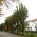 ул. Фрунзе в городе Краснотурьинск
