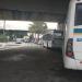 Rua Alfreds Paegle (pt)