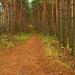 Терренку́р - «Тропа здоровья» в городе Гродно