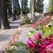 Droga przy kwaterze A (pl) in Warsaw city