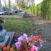 Aleja przy kwaterze A5 (pl) in Warsaw city