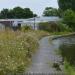 Staffordshire and Worcestershire Canal Towpath in Stafford city