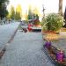 Aleja P/LII (pl) in Warsaw city
