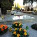 Aleja P/LII (pl) in Warsaw city