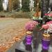 Aleja AII (pl) in Warsaw city