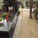 Aleja 38/36 (pl) in Warsaw city