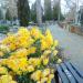 Aleja KII/H DOD (pl) in Warsaw city