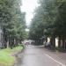 ул. Сибирцева в городе Великие Луки