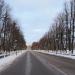 Аллея Императора Павла I в городе Гатчина