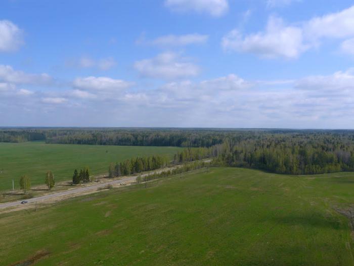 Дмитровка Шатура