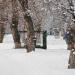 Кавказская ул. в городе Каменск-Шахтинский