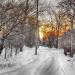 ул. Кудинова в городе Каменск-Шахтинский