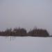 Лыжня на  Шайму в городе Череповец
