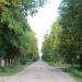 ул. Пушкина в городе Карабаново
