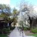 Zaułek Hartwigów (pl) in Lublin city