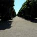 Ruinenallee (ru) in Vienna city
