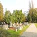 Aleja przy kwaterze M (pl) in Warsaw city