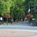 Aleja księdza biskupa Jana Chrapka in Radom city