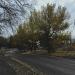 Проездная ул. в городе Каменск-Шахтинский