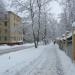 Сосновая аллея в городе Москва