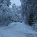 ул. Опанасенко в городе Химки