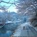 River Avon Tow Path in Bristol city