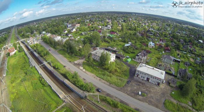 Проститутки Пгт Ульяновка