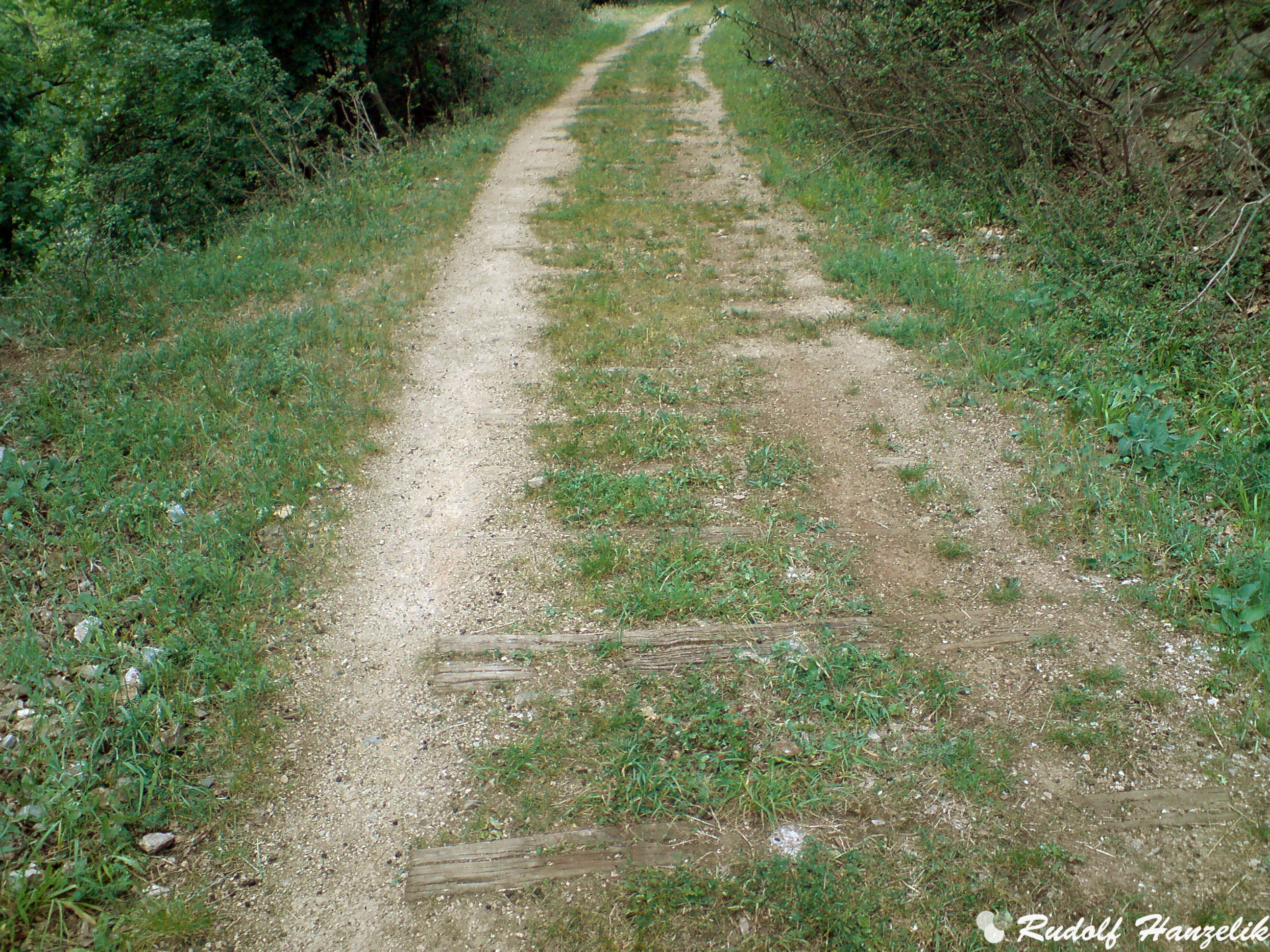 Narrow Gauge Discussion Forum - 565fnwl
