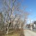 ул. Добролюбова в городе Москва