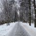Мценская ул. в городе Москва