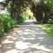 Wallweg in Stadt Bautzen