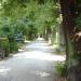 Durchgang - Hauptweg - Friedhof in Stadt Bautzen