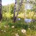 1-й пр. Добролюбова в городе Рязань