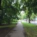 Kazimierza Promyka Street in Warsaw city