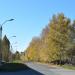 ул. XXV Партсъезда в городе Заринск
