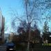 Цветной бул. в городе Рязань