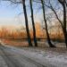 Пешеходная дорога на остров Татышев в городе Красноярск