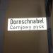 Dornschnabel in Stadt Bautzen