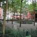 Grote Koraalberg in Antwerp city